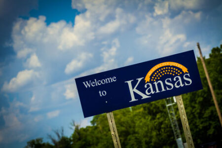 The Real Fight's in the States Image